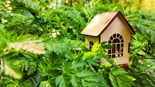 miniature toy house in grass close up, spring natural background. symbol of family. mortgage, construction, rental, property concept. Eco Friendly home. template for design. soft selective focus © keleny