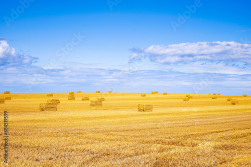 UK, Scotland, Hay bales in harvested field photo