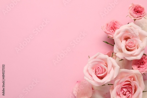 Beautiful roses and petals on pink background  top view. Space for text