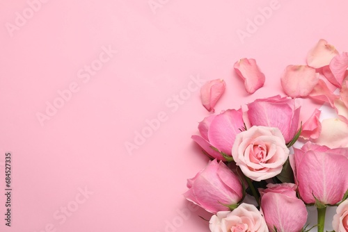 Beautiful roses and petals on pink background, top view. Space for text