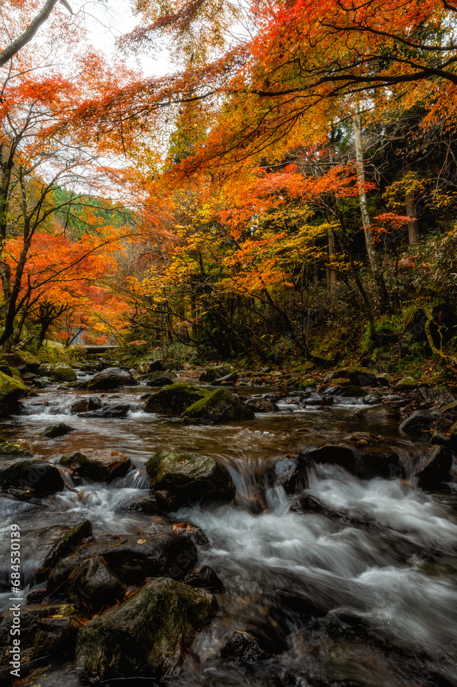 茨城県北茨城市　紅葉の花園渓谷