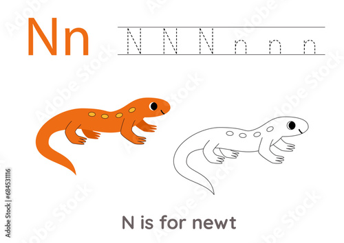 Tracing alphabet letters with cute animals. Color cute newt. Trace letter N.