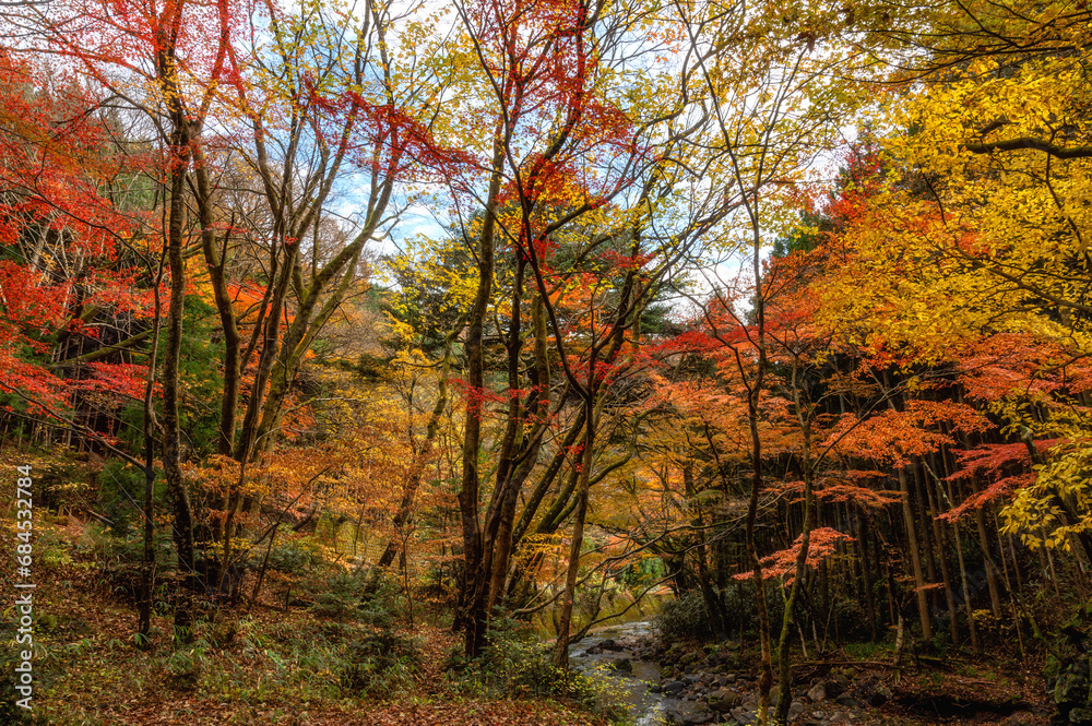 茨城県北茨城市　紅葉の花園渓谷