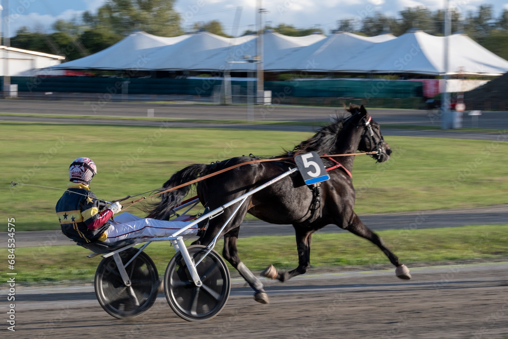 Racing horses trots and rider on a track of stadium. Competitions for trotting horse racing. Horses compete in harness racing. Horse runing at the track with rider.
Racing horses trots and rider on a track of stadium. Competitions for trotting horse racing. Horses compete in harness racing. Horse runing at the track with rider.