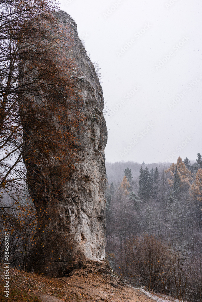 A rock called Maczuga Herkulesa in Pieskowa Skała - obrazy, fototapety, plakaty 