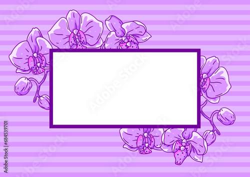 Frame with orchid flowers. Beautiful decorative plants.