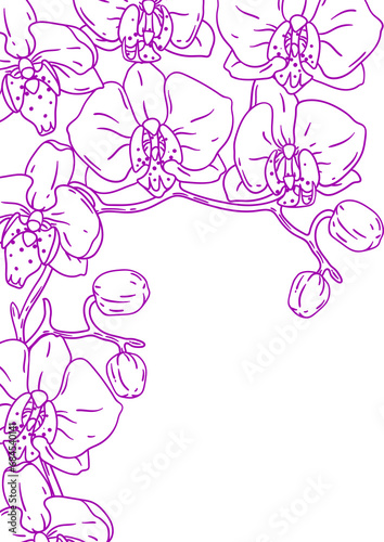 Background with orchid. Beautiful decorative plants.