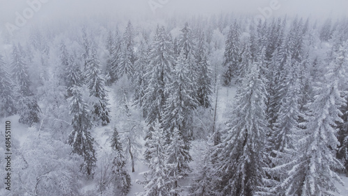 top view of the snow-covered forest in the mountains © Павел Чигирь