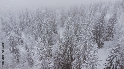 top view of the snow-covered forest in the mountains © Павел Чигирь