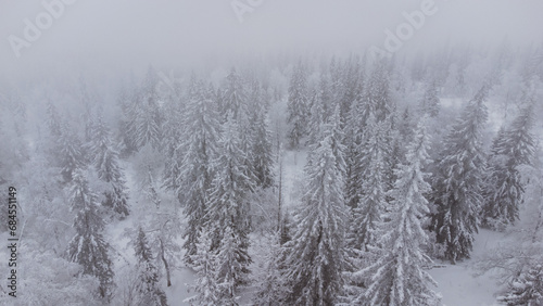 top view of the snow-covered forest in the mountains