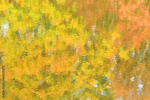 Photo of the forest reflection on the surface of a pond in autumn, similar to the effect of Monet's watercolor painting