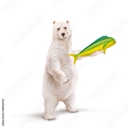 illustration d un ours polaire qui tiens un  poisson          coryph  ne dauphin dans sa main avec un e   charpe 