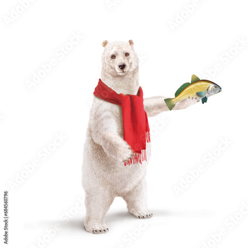 illustration d'un ours polaire qui tiens un  poisson          corbeau de mer dans sa main avec un e écharpe  photo