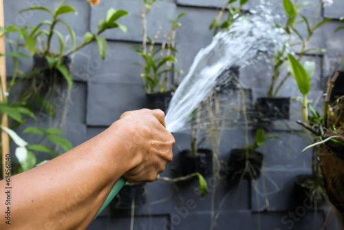 Close up of an asian man's hand watering plants around his house with a green hose