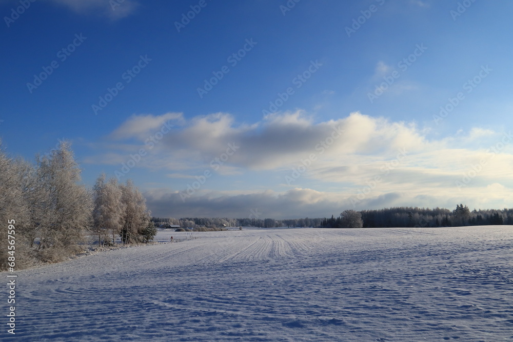 Obraz premium winter landscape with snow