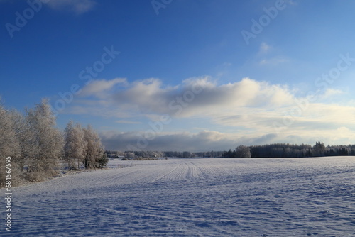 winter landscape with snow