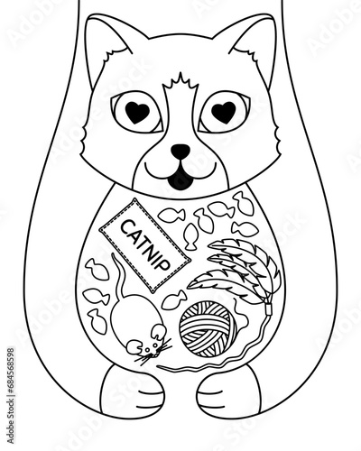 Doodle cat with toys and treats