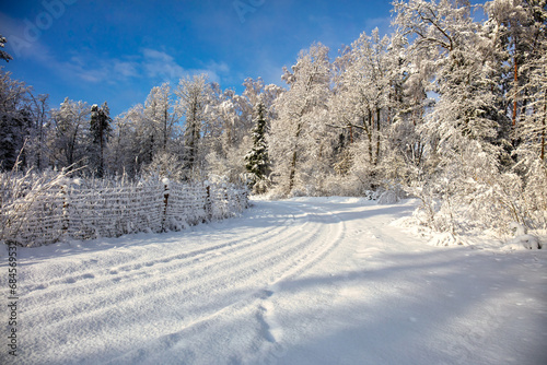 winter landscape in the mountains