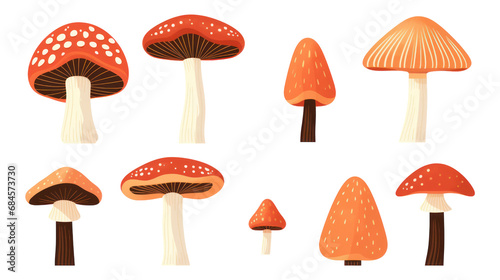 Collection of different mushrooms, illustration, isolated or white background