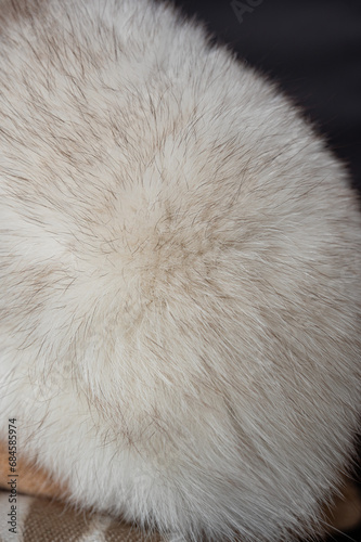 fur moves from the breath of air, part of a fur coat made of natural white fox fur, close-up of arctic fox fur used in the manufacture of clothing