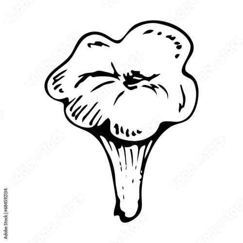 Chanterelle doodle mushroom. Collecting forest food. Cantharellus cibarius. Hand drawn sketch.