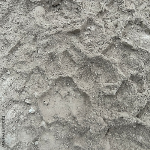 Lion footprint