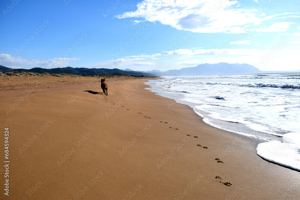 Paw prints of dog running along golden sandy natural Mediterranean Sea beach with white foamy waves and clouds over blue sky and green hills in the distance, Peloponnese Peninsula, Greece. Paw prints of dog running along golden sandy natural Mediterranean Sea beach with white foamy waves and clouds over blue sky and green hills in the distance, Peloponnese Peninsula, Greece.