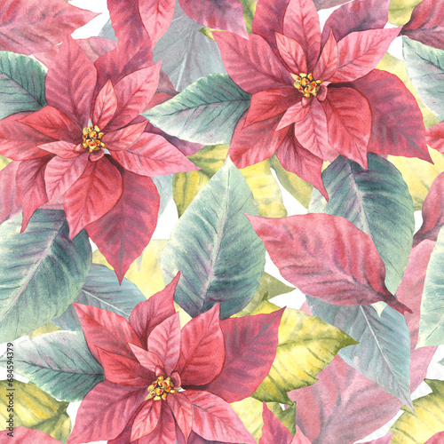 Watercolor painted illustration of red poinsettia  pulcherrima flowers  leaves seamless pattern. Traditional plant for Christmas or New Year decor  gift wrapping  cover art. Isolated  white background