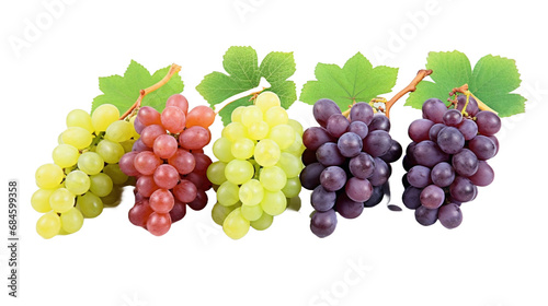 Bunch of Green, purple and red grapes collection isolated in white transparent background.
