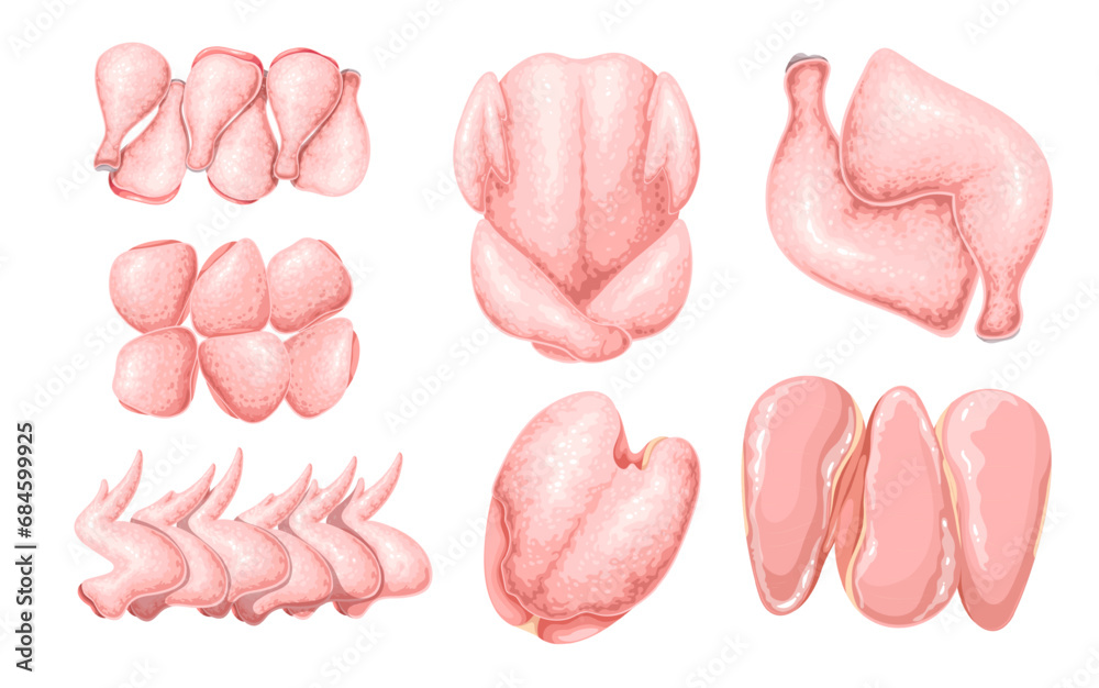 Chicken set vector illustration. Cartoon isolated raw whole broiler ...