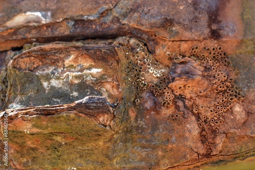 Rust - Texture Photography Series