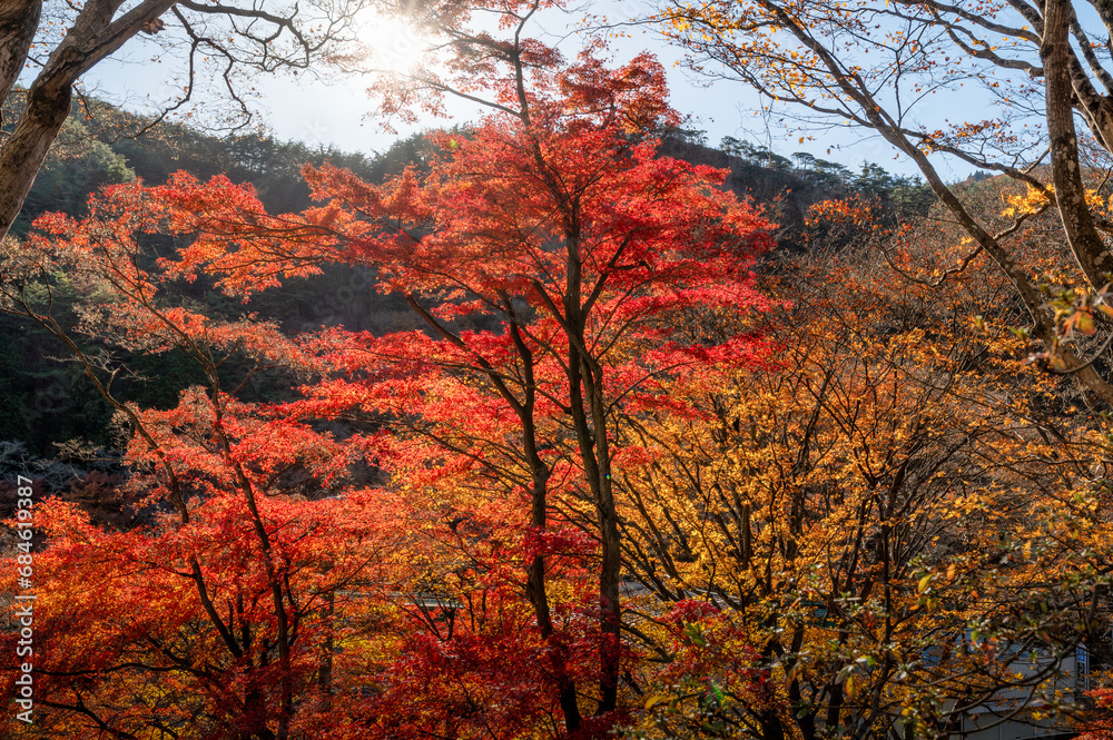 福島県矢祭町　紅葉燃える矢祭山公園