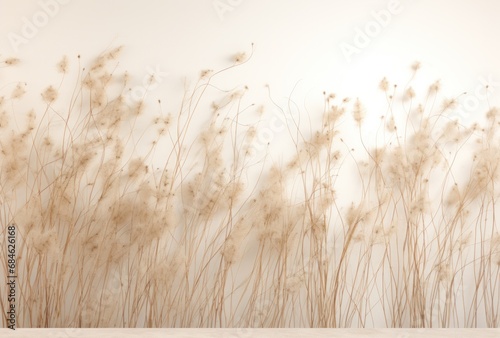 dried grass vlaming from a white wall photo