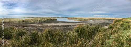 Panorama von der Uferb  schung am Salzensee auf der Insel Fehmarn