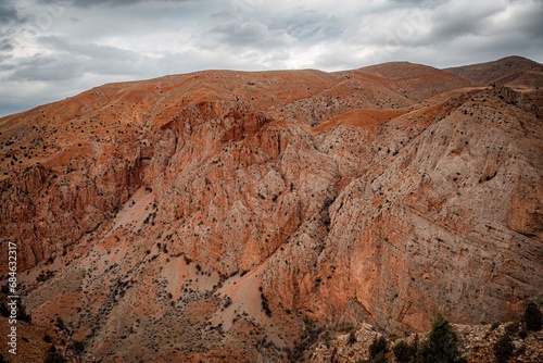 rocks in the desert