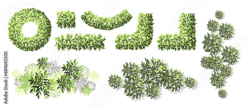 Maze garden for master plans. Top view for the architectural plan. Various trees, bushes, and shrubs. Vector illustration.