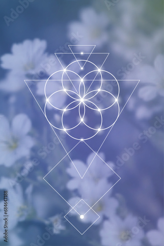 Flower of life. Tree of life. Sacred geometry spiritual new age futuristic illustration with transmutation interlocking circles, triangles and glowing particles