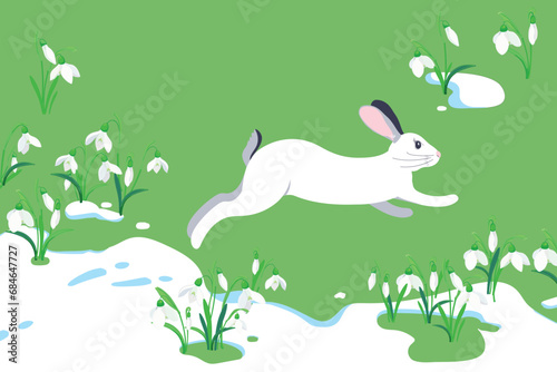 The concept of the arrival of spring and the awakening of nature after winter. Melting snow, snowdrops and a hare running on the green grass. Vector illustration. Flowers sprout through the snow.