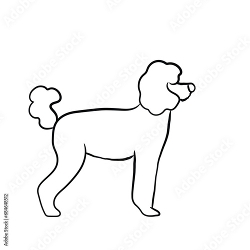 poodle line art. hand drawn line art icon. Poodle
