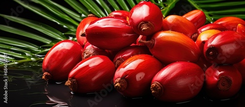Close up photo of ripe palm...