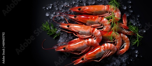 Black top view of head on red Argentine shrimps copy space image