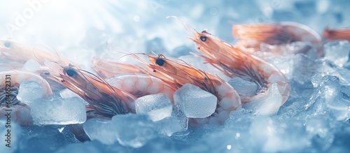 Close up of frozen shrimps dry freezed seafood delicacies with selective focus copy space image photo