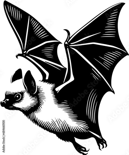 Mexican Free Tailed Bat icon