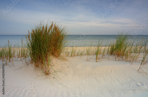 Fototapeta Naklejka Na Ścianę i Meble -  Dzika plaża na wybrzeżu Morza Bałtyckiego, w Słowińskim Parku Narodowym