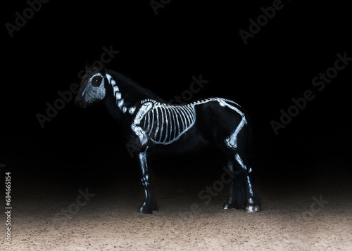 painted skeleton horse moving against a black background