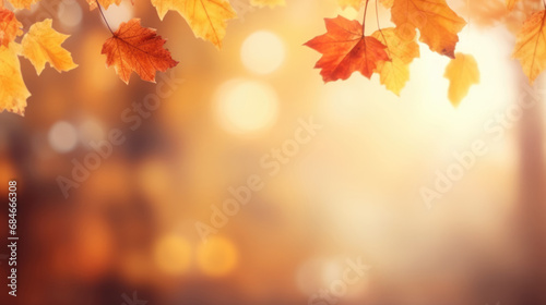 Beautiful autumn background with yellow  orange and red falling leaves  bokeh and sunshine. Banner with free place for text