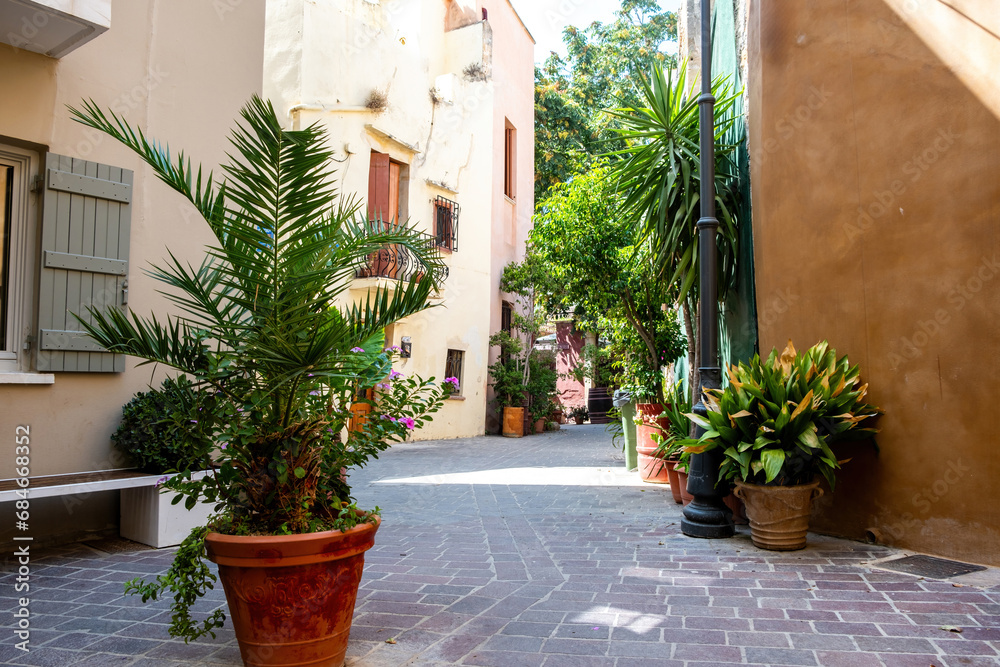 Greece Crete island Chania Old Town. Pot with plant on narrow empty paved alley, building, sunny day