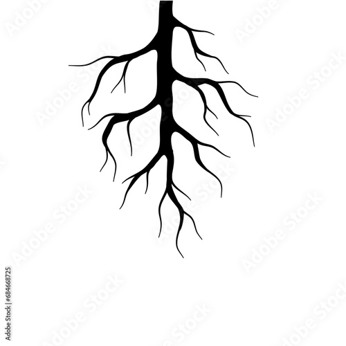 Black Tree Root Set