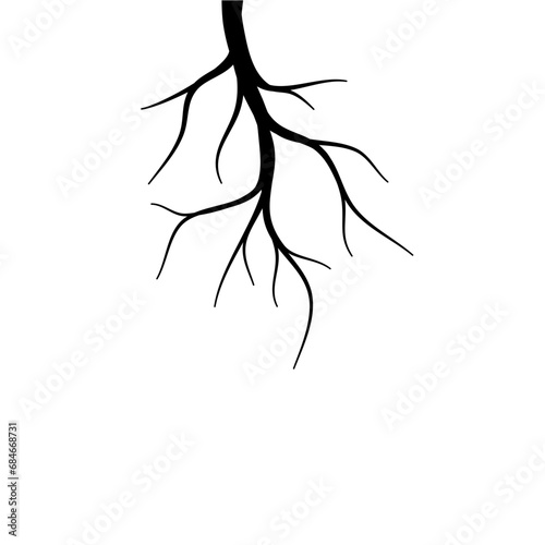 Black Tree Root Set