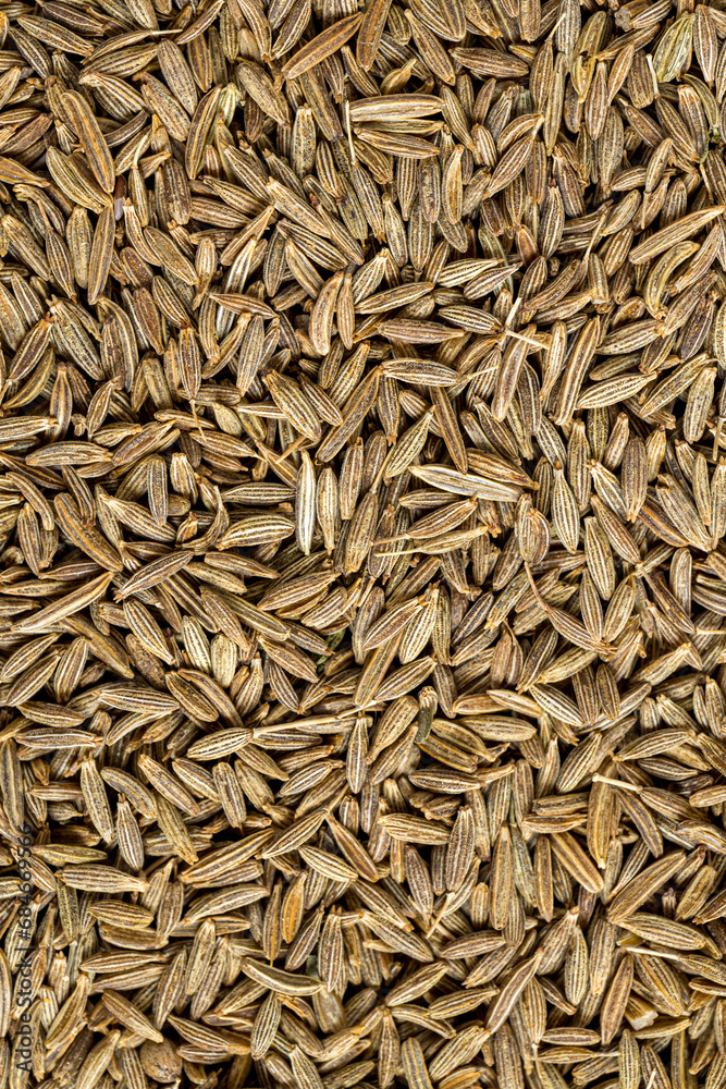 Cumin Jeera spice background. close-up view of zira. Cumin seeds from above. High angle photo of zira jeera cumin spices